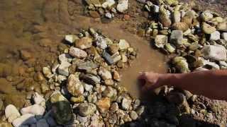 Survival Fish Trap using just one hand.