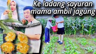 KE LADANG SAYURAN MAMA AMBIL JAGUNG,KARENA SUAMI INGIN MAKAN BAKWAN @WANDAWANGKARISIDICHINA