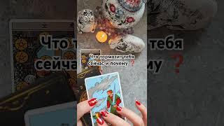 Мой Телеграм Светлана  Солнышко Таро#таролог #tarot #гадание #таро #тароонлайн #гаданиеонлайн