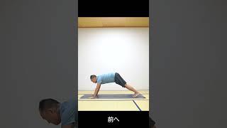 【チャトランガ】チャトランガで最も大切なこと。チャトランガポーズのコツ