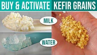 WHERE CAN I BUY KEFIR GRAINS?  How To Source, Types To Choose From & Grain Activation