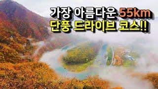 전국 제일의 55km 단풍 드라이브 코스를 소개합니다. 강원도 정선의 동강과 계곡을 따라 달리는 내내 탄성을 자아냅니다.