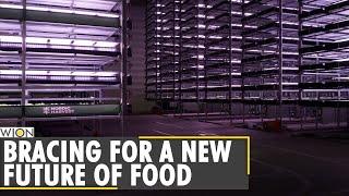 Europe's largest vertical farm opens in Denmark | Europe News | World News