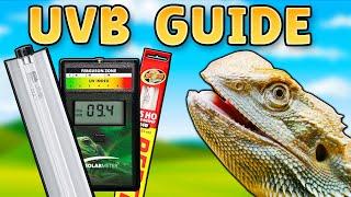 Whats The Best UVB Lights for Bearded Dragons?