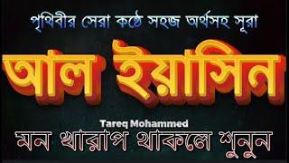 "সূরা ইয়াসীন | Tareq Mohammed | সুন্দর তিলাওয়াত ও বাংলা অনুবাদ | Surah Yasin"