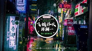 全中文DJ舞曲夜店混音舞曲串烧 2024 酒吧最火DJ舞曲Chinese DJ remix  Hot Tiktok Douyin Dj 抖音版2025