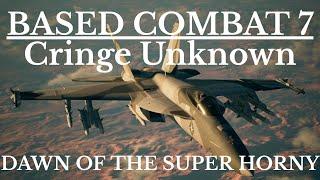 Dogfighting while blasting Fullmetal Frontline in my canon fighter jet