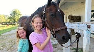 Addy's First Horseback Riding Lesson