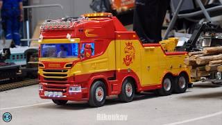 INSANE RC TAMIYA TRUCKS, RC TOW TRUCKS, RC HEAVY HAULAGE, RC MACHINES!! MODELL LEBEN ERFURT 2024 DE