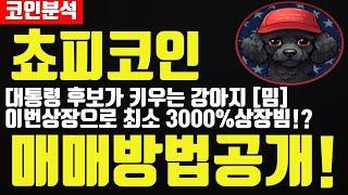 쵸피코인(CHOPPY) 트럼프대통령 후보가 키우는 실제 강아지 기반 밈코인! 이번상장으로 상장빔만 최소 3000%!? #밈코인#트럼프#상장코인#신규상장