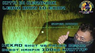 BERBURU BABI HUTAN |HAMA BABI HUTAN |BOCAP BOGEL |NIGHT VISION LOKAL