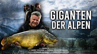 Giganten der Alpen - Karpfenangeln zwischen den höchsten Gipfeln Europas