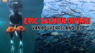 Snorkeling with Salmon & King Crab Tacos #vancouverisland #britishcolumbia #canada