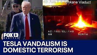 Trump: Tesla vandalism is domestic terrorism