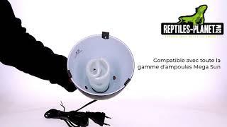 Reptiles Planet - Black Clamp Lamp