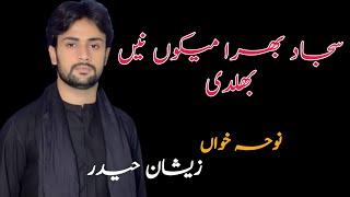 Sajjad a.s Bhera Mekoo | Zeeshan Haider Noha | New Noha 2022 | 5Tan Pak2