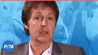 OFFICIAL: Paul McCartney's "Glass Walls" Video | PETA