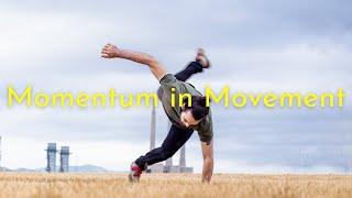 Momentum in Movement