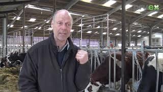 Quiet Wean Tag use on a Cow and Calf Dairy Unit