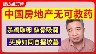 翟山鹰：中国房地产无可救药 | 杀鸡取卵 敲骨吸髓 | 买房如同自掘坟墓 #翟山鹰 #中国房地产崩盘