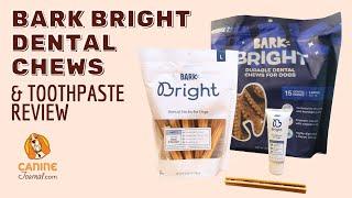 BARK Bright Dental Review