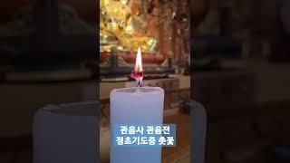 광주관음사 정초기도중 촛꽃