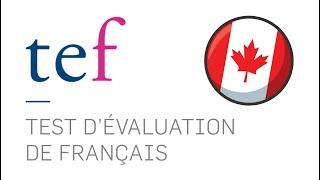 TEF french speaking exam | Section A explained!