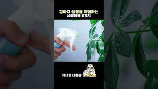 모르고 사용하면 강아지에게 위험한 것들