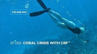 CORAL CRISIS with Coral Restoration Foundation | The Saie Way - Ep: 002