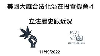 美國大麻合法化可能會將大麻股帶漲5倍-第一話 立法歷史跟近況 $TLRY $CGC $MJ $MSOS $AYRWF $JUSHF $MRMD $VFF 美国大麻合法化可能会将大麻股带涨5倍-第一话