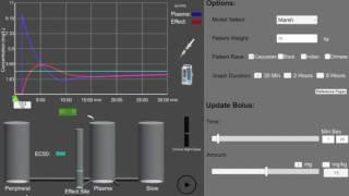 Race-Specific Propofol Model Simulation Demo