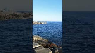 Duba KSA #tourism #redsea #neom #adventure #beechtreepk