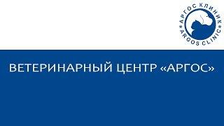 Аргос Клиник - новый ветеринарный центр в Одинцово