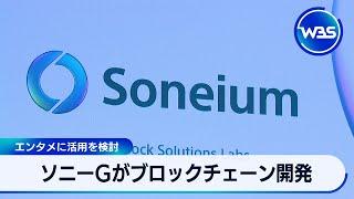 ソニーGがブロックチェーン開発　エンタメに活用を検討【WBS】