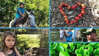 A Typical Afternoon at Whistle Thicket Farmstead!