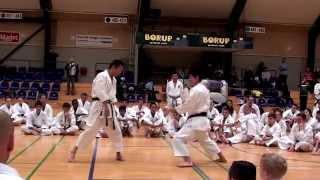 Sensei Yahara In Action - Denmark 2013