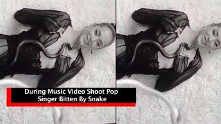 Pop Singer Bitten By Snake During Music Video Shoot II Cobrapost