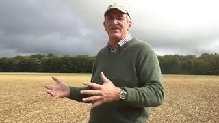 Minimising Soil Disturbance - Grass & Cattle - Agricology Vlog Oct 2019