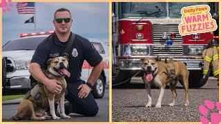 Hansel: The Crime-Solving Arson Dog | Daily Paws