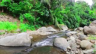 Soothing River Sounds to Relieve Stress: Let's Reconnect with Nature - 10 Hours 4K UHD