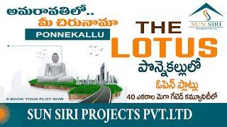 AMARAVATHI 150 , 183 , 190 . 250 , Sq Yards Open Plots For Sale At Ponnekallu Close to AMARAVATHI