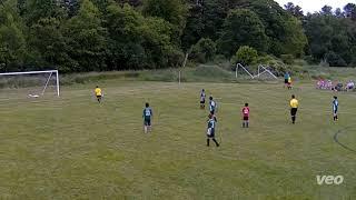 NYSL B2011 Yellow save