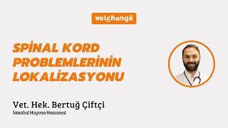 Spinal Kord Problemlerinin Lokalizasyonu ''Vet. Hek. Bertuğ Çiftçi''