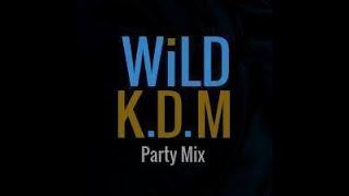 CLUB KDM WiLDStYLE PARTY MIX 02