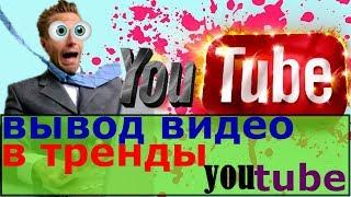 вывод видео в тренды/ вывод видео в тренды youtube/ как видео попадает в тренд/ посев вывод в тренды