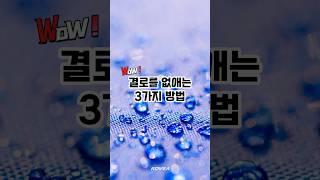 텐트 결로 막는 방법 꿀팁 l Shorts