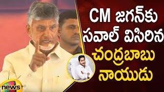 Chandrababu Open Challenge To CM YS Jagan | Kurnool Public Meeting | TDP Vs YSRCP | Mango News