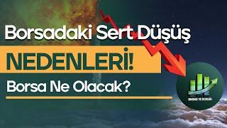 Borsadaki Sert Düşüş Nedenleri ! Borsa Ne Olacak ?