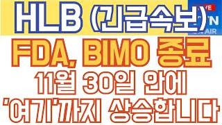 HLB 에이치엘비 매수 매도 주가전망 - 긴급속보) FDA, BIMO 종료! 11월 30일 안에 '여기'까지 상승합니다!