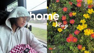 Home vlog | going home to vote for the first time | lots of food 🫧